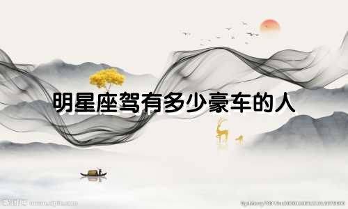 明星座驾有多少豪车的人