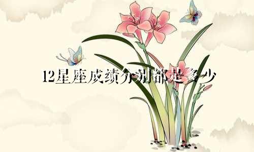 12星座成绩分别都是多少