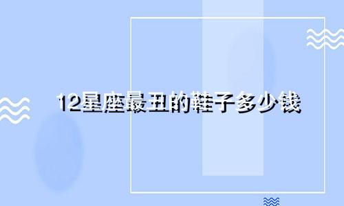 12星座最丑的鞋子多少钱