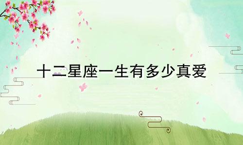 十二星座一生有多少真爱