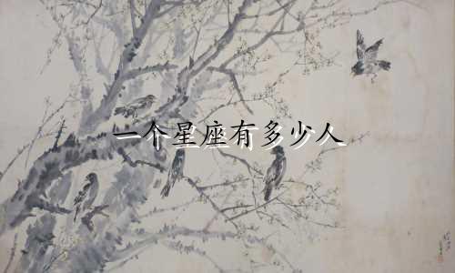 一个星座有多少人