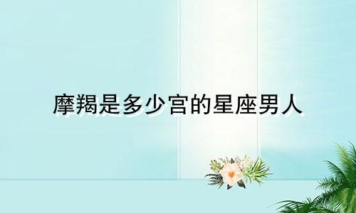 摩羯是多少宫的星座男人