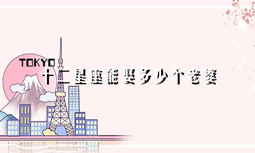 十二星座能娶多少个老婆