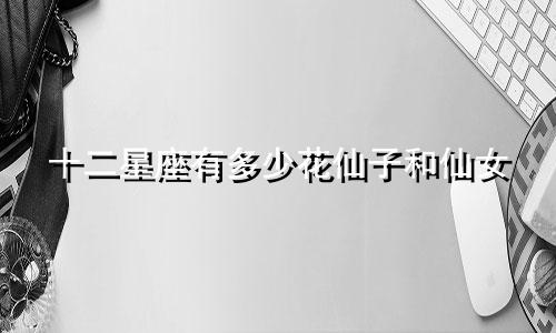 十二星座有多少花仙子和仙女