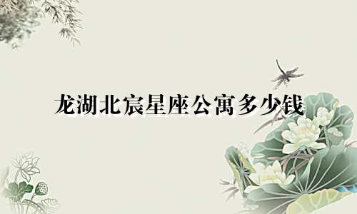 龙湖北宸星座公寓多少钱