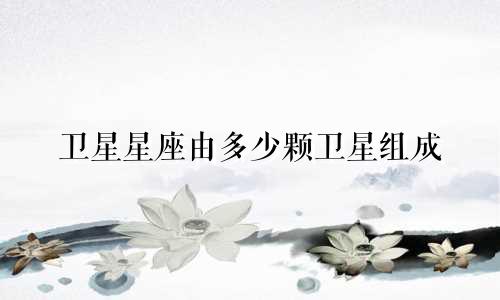 卫星星座由多少颗卫星组成