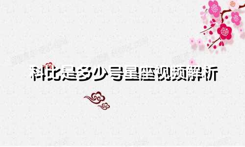 科比是多少号星座视频解析