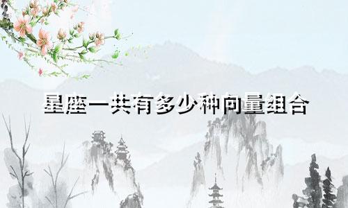 星座一共有多少种向量组合