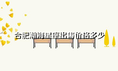 合肥瀚海星座出售价格多少