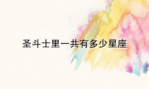 圣斗士里一共有多少星座