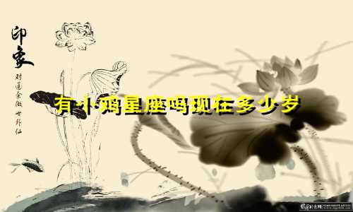 有小鸡星座吗现在多少岁