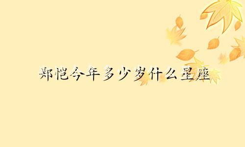 郑恺今年多少岁什么星座