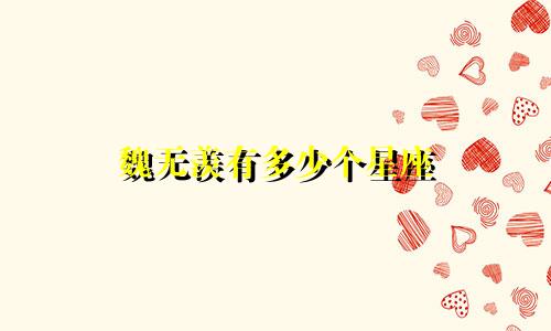 魏无羡有多少个星座