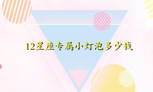 12星座专属小灯泡多少钱