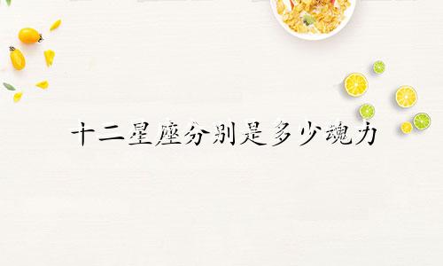 十二星座分别是多少魂力