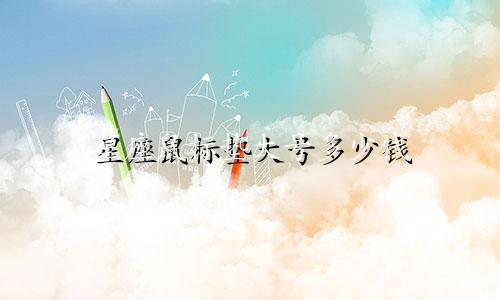 星座鼠标垫大号多少钱