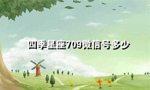 四季星座709微信号多少