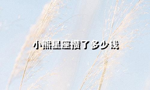 小熊星座攒了多少钱