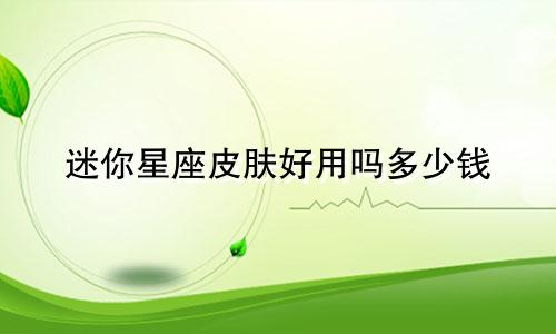 迷你星座皮肤好用吗多少钱