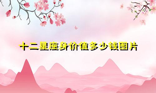 十二星座身价值多少钱图片