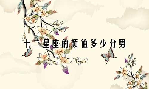 十二星座的颜值多少分男
