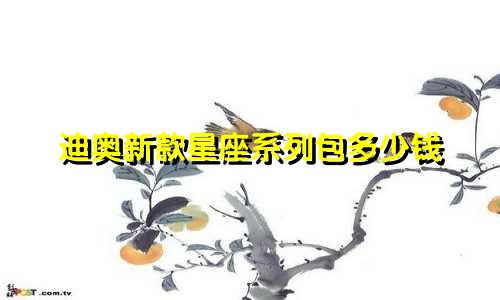 迪奥新款星座系列包多少钱