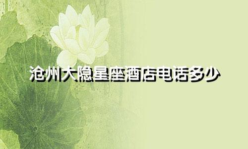沧州大隐星座酒店电话多少