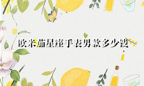 欧米茄星座手表男款多少钱