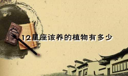 12星座该养的植物有多少