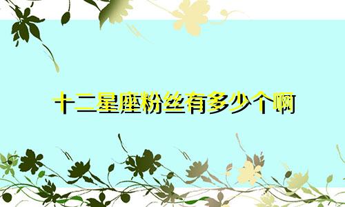 十二星座粉丝有多少个啊