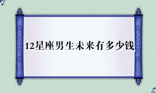 12星座男生未来有多少钱