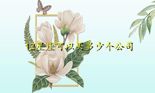 12星座可以买多少个公司