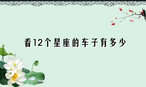 看12个星座的车子有多少