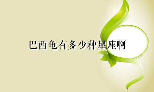 巴西龟有多少种星座啊