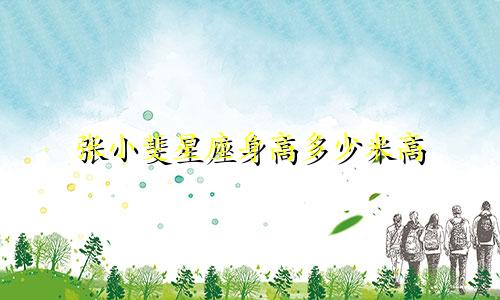 张小斐星座身高多少米高