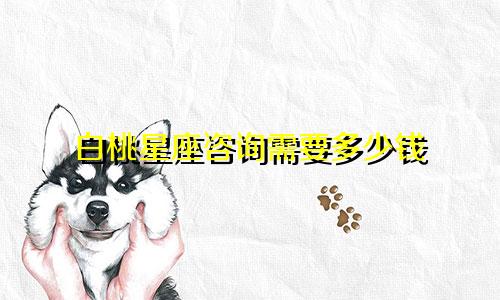 白桃星座咨询需要多少钱