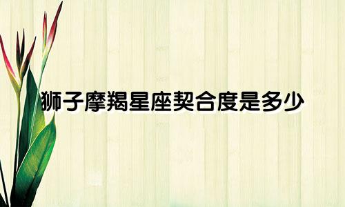 狮子摩羯星座契合度是多少