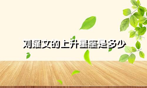 刘耀文的上升星座是多少