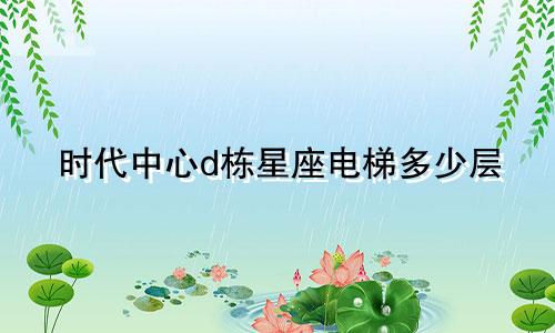 时代中心d栋星座电梯多少层