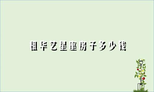 租华艺星座房子多少钱