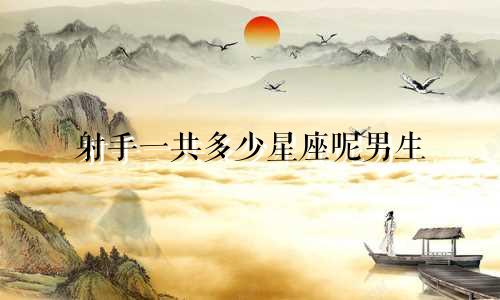 射手一共多少星座呢男生
