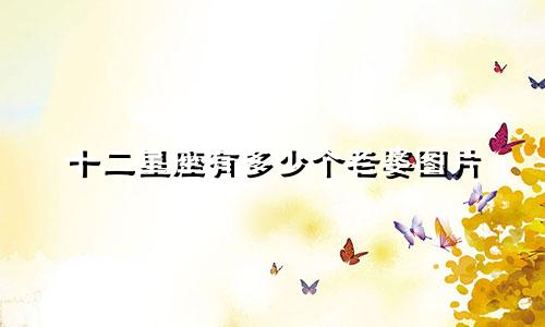 十二星座有多少个老婆图片