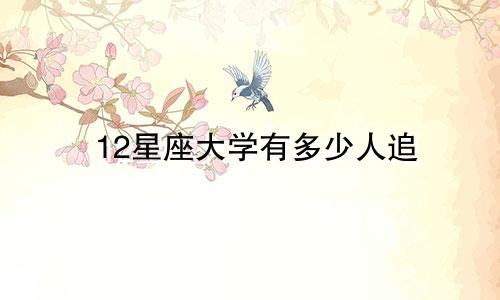 12星座大学有多少人追
