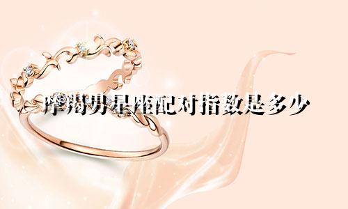 摩羯男星座配对指数是多少