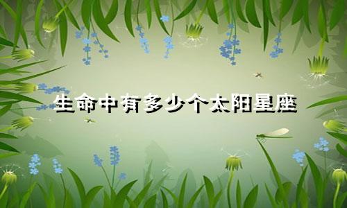 生命中有多少个太阳星座