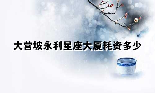 大营坡永利星座大厦耗资多少
