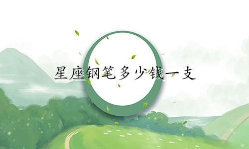 星座钢笔多少钱一支