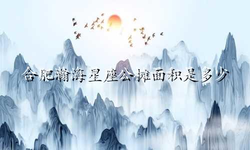 合肥瀚海星座公摊面积是多少