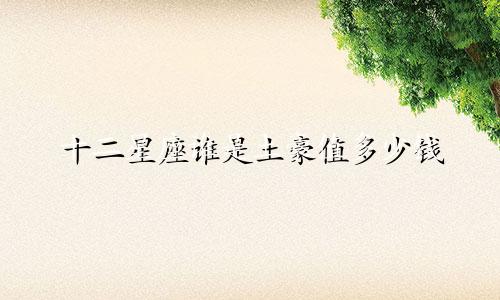 十二星座谁是土豪值多少钱