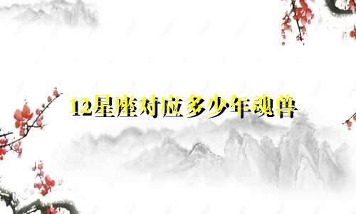 12星座对应多少年魂兽